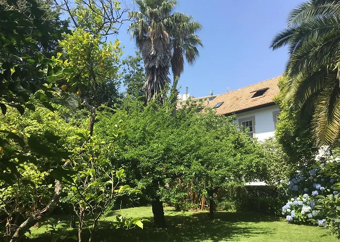 The Oaks House Foz
