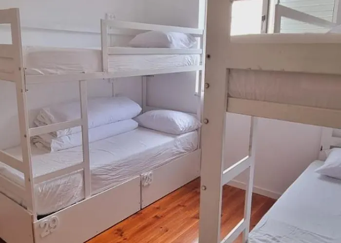 Owls Hostel Ribeiro