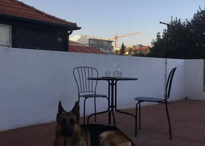 Porto\'S Secret Backyard