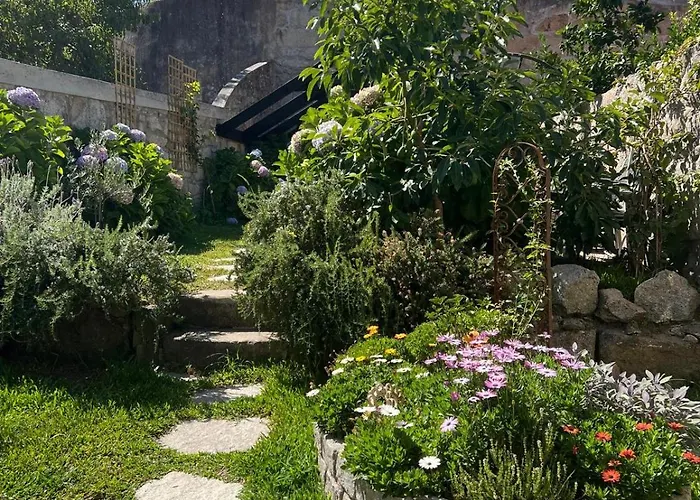 Hidden Gem Near City Center- Garden, Outdoor Kitchen, Sauna