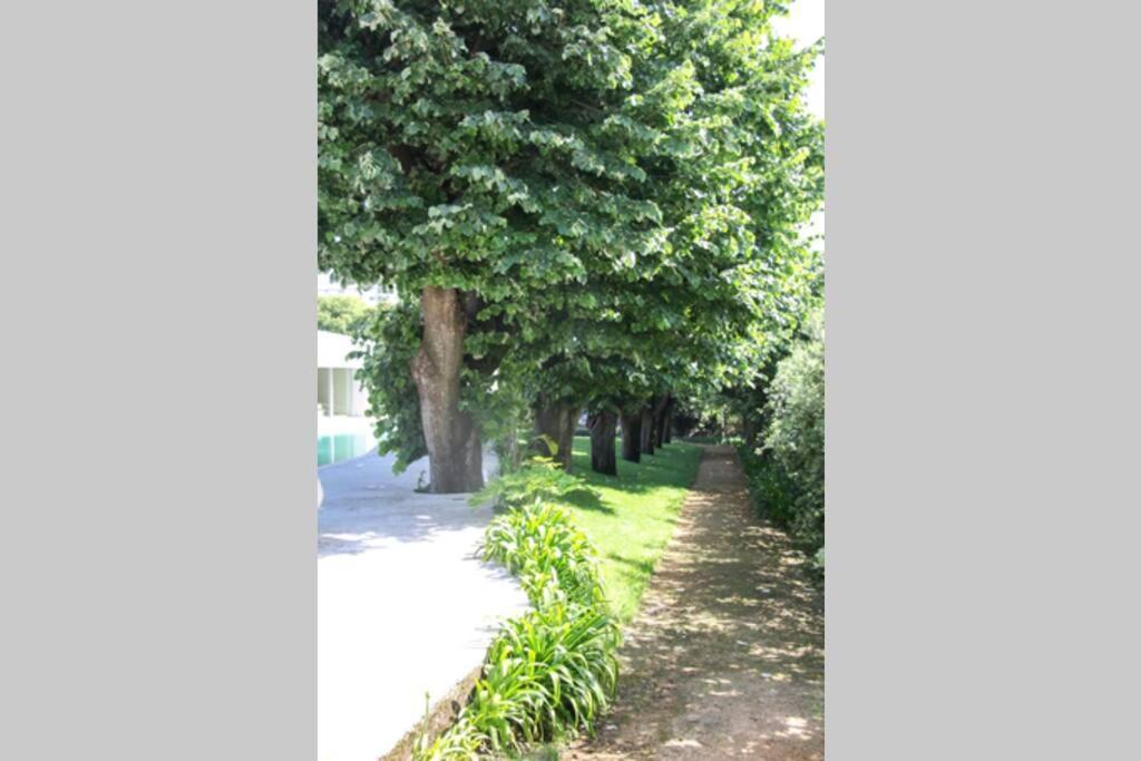 Boomerang House - Luxury House Next To City Park Villa *