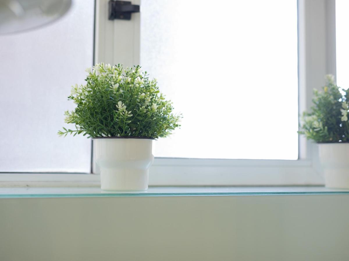 Guest Alegria Flat Downtown Apartment Porto