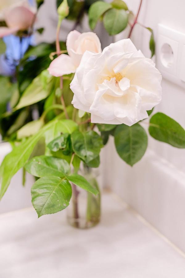 Boutique Rentals- Bliss By The Sea Apt- Ocean Views In Foz *