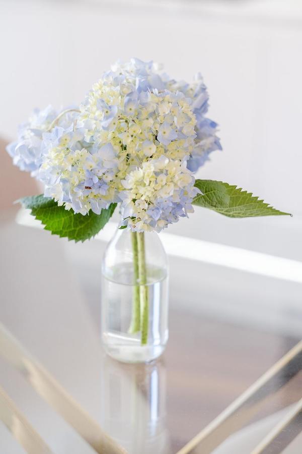 Apartamento Boutique Rentals- Bliss By The Sea Apt- Ocean Views In Foz *