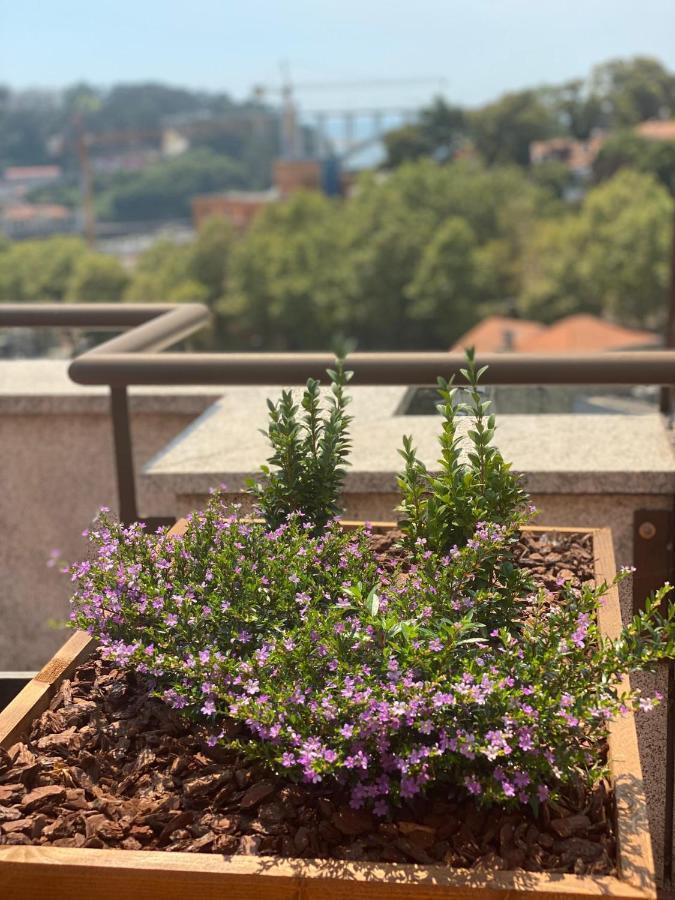 Hotel Vilar