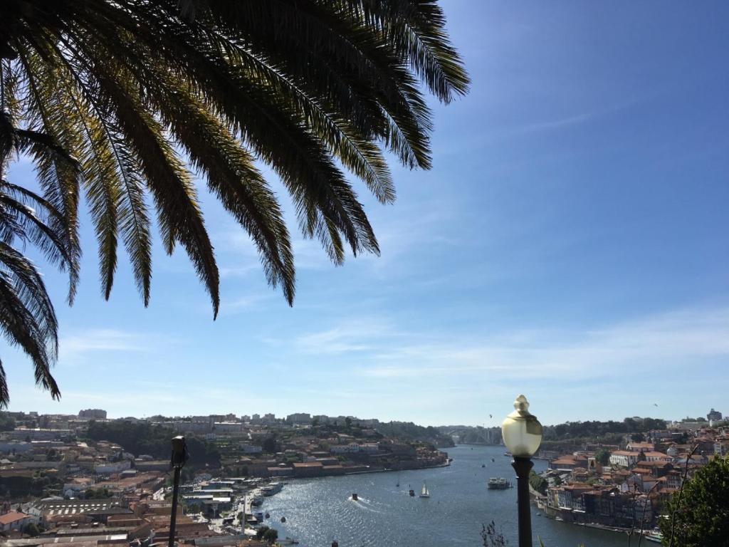 Apartment Cocooning Porto