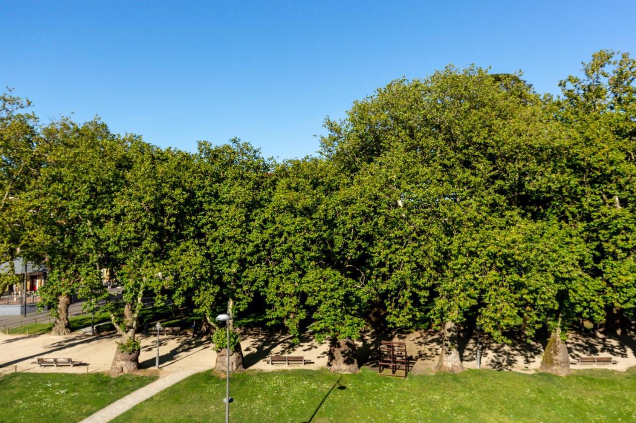 Apartment Tripas-coracao, Cordoaria River View, Garden View Or Loft