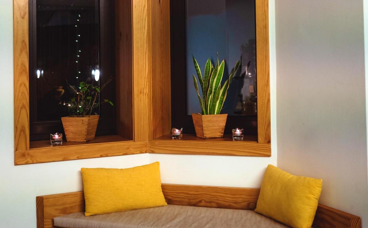 Spacious House In + Garden Porto