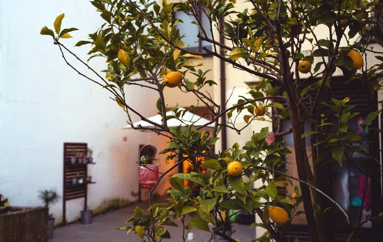 Spacious House In + Garden * Porto