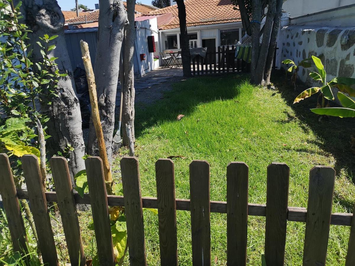 Apartment Downtown Garden Terrace , Only One House Up To 21pax *