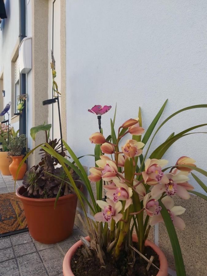 Monte Da Lapa Free 1 Parking Place Villa Porto