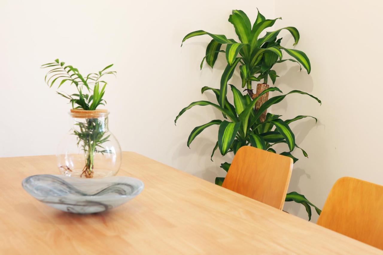 Apartment Invicta *