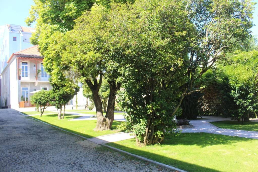 Eco Penthouse In Downtown With Rooftop & Parking * Porto
