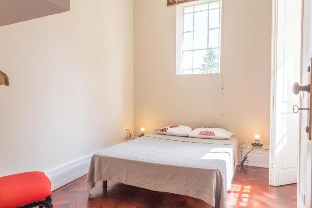 Apartment Vintage Downtown With Patio Porto