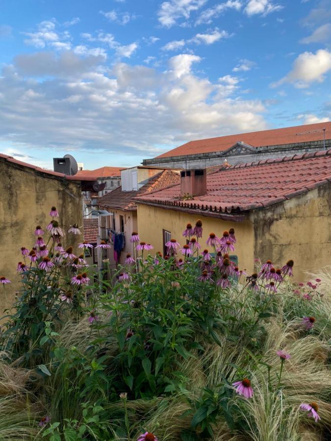 My Little - Charming House In Miragaia, Apartment *