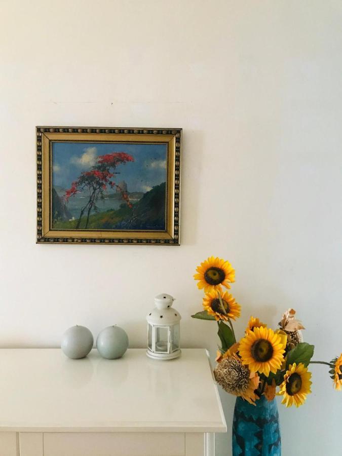Antas Cozy House * Porto