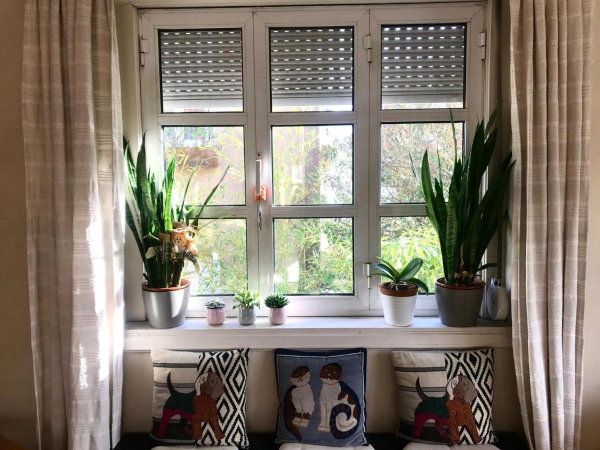 Antas Cozy House Apartamento