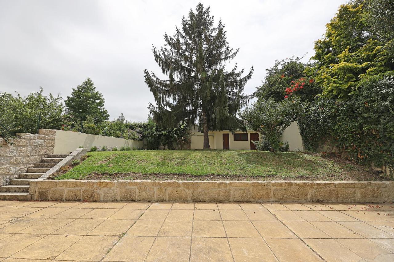 Apartment Flh Serralves House With Garden *