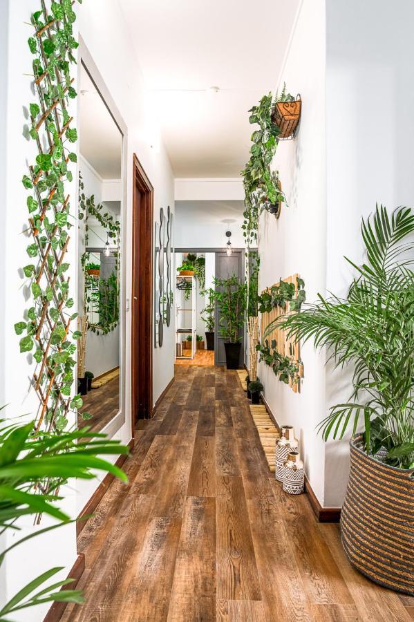 Bed & Breakfast Avenue View