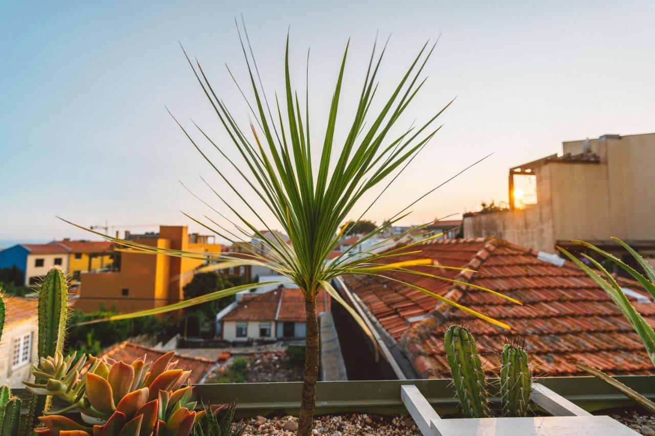 Casa Senhorinha Holiday home