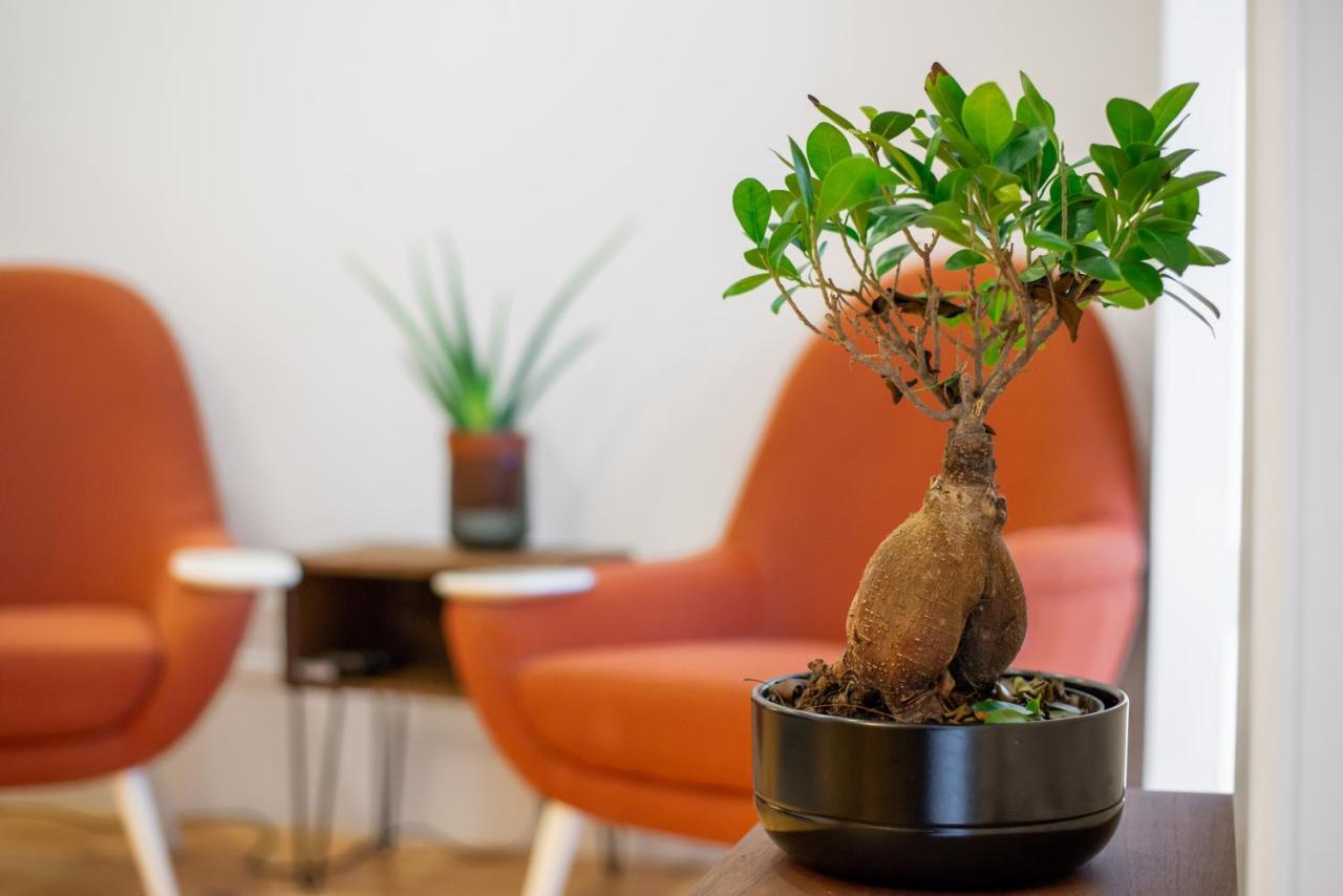 Low Cost Parking - Private Garden - Almada 392 Apartamento Porto