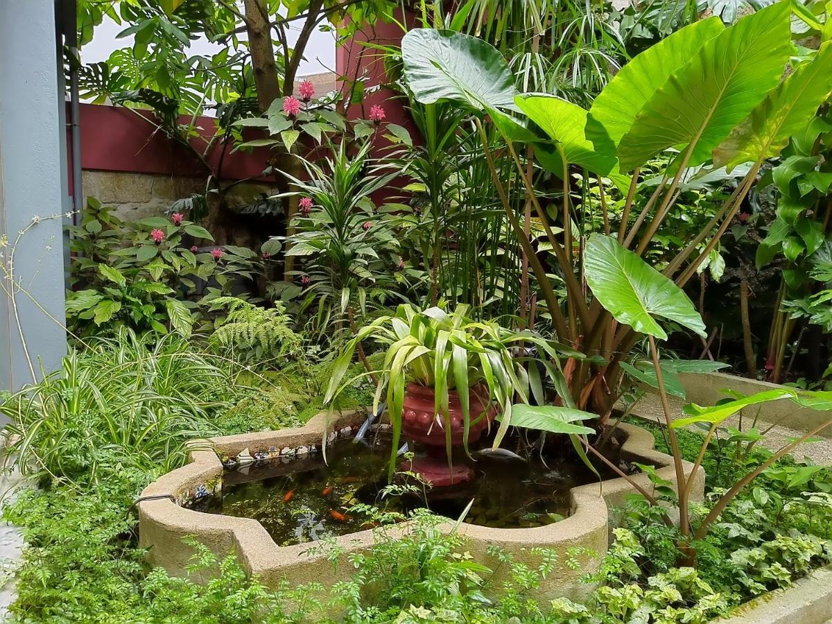 Garden House Apartment