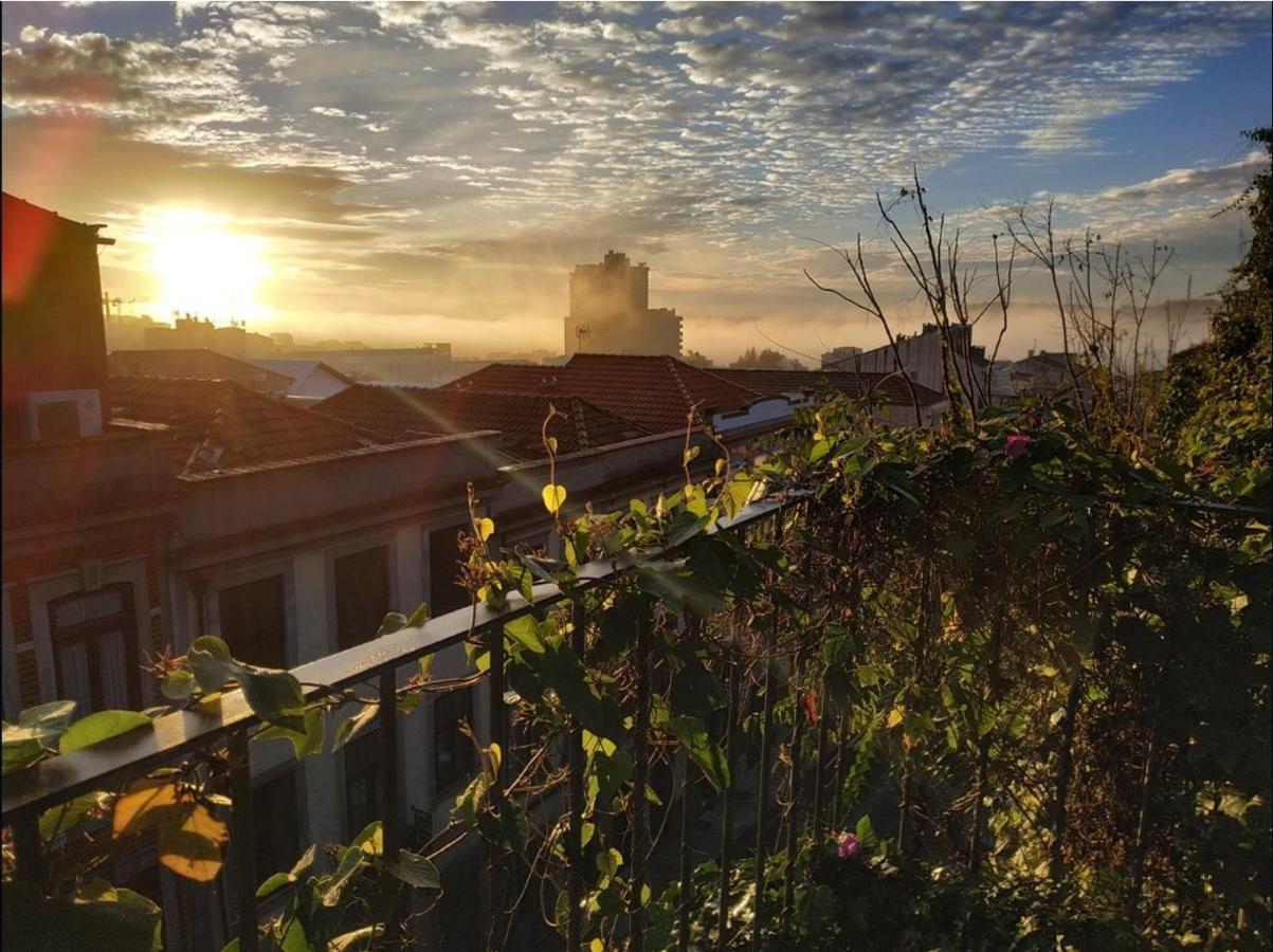 Alegria Garden Guest house 3*