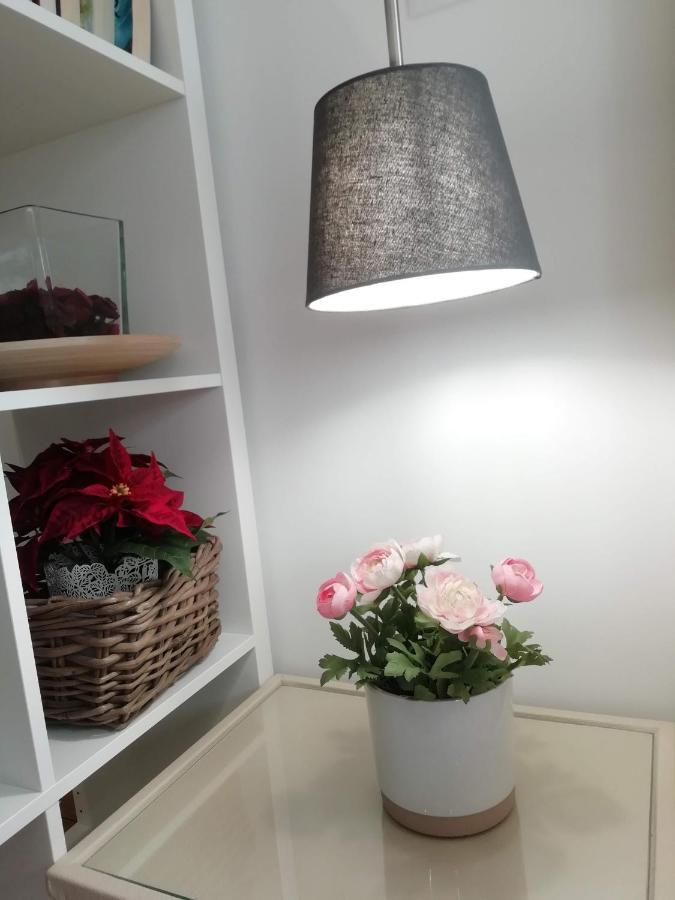 In The Historic Center Of Apartment
