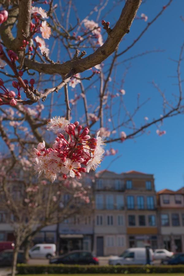 Burgo Republica T * Porto