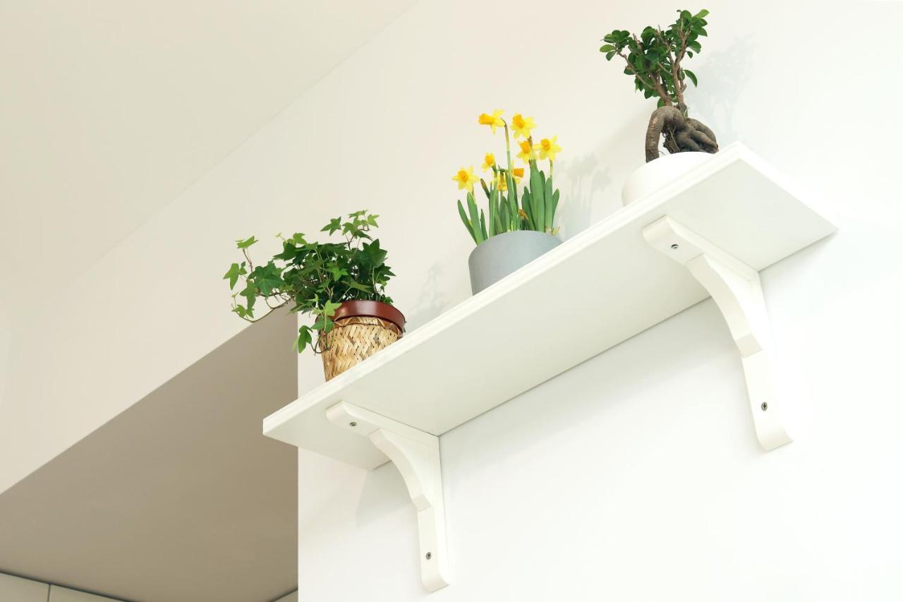 Invicta Ii Appartement *