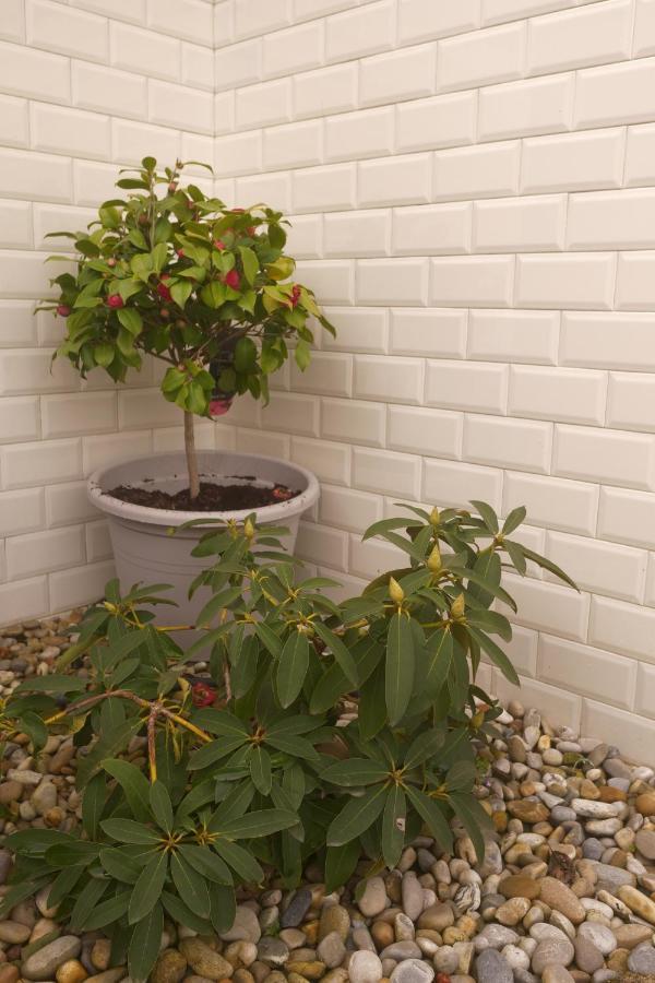 Appartement Burgo Flora 5