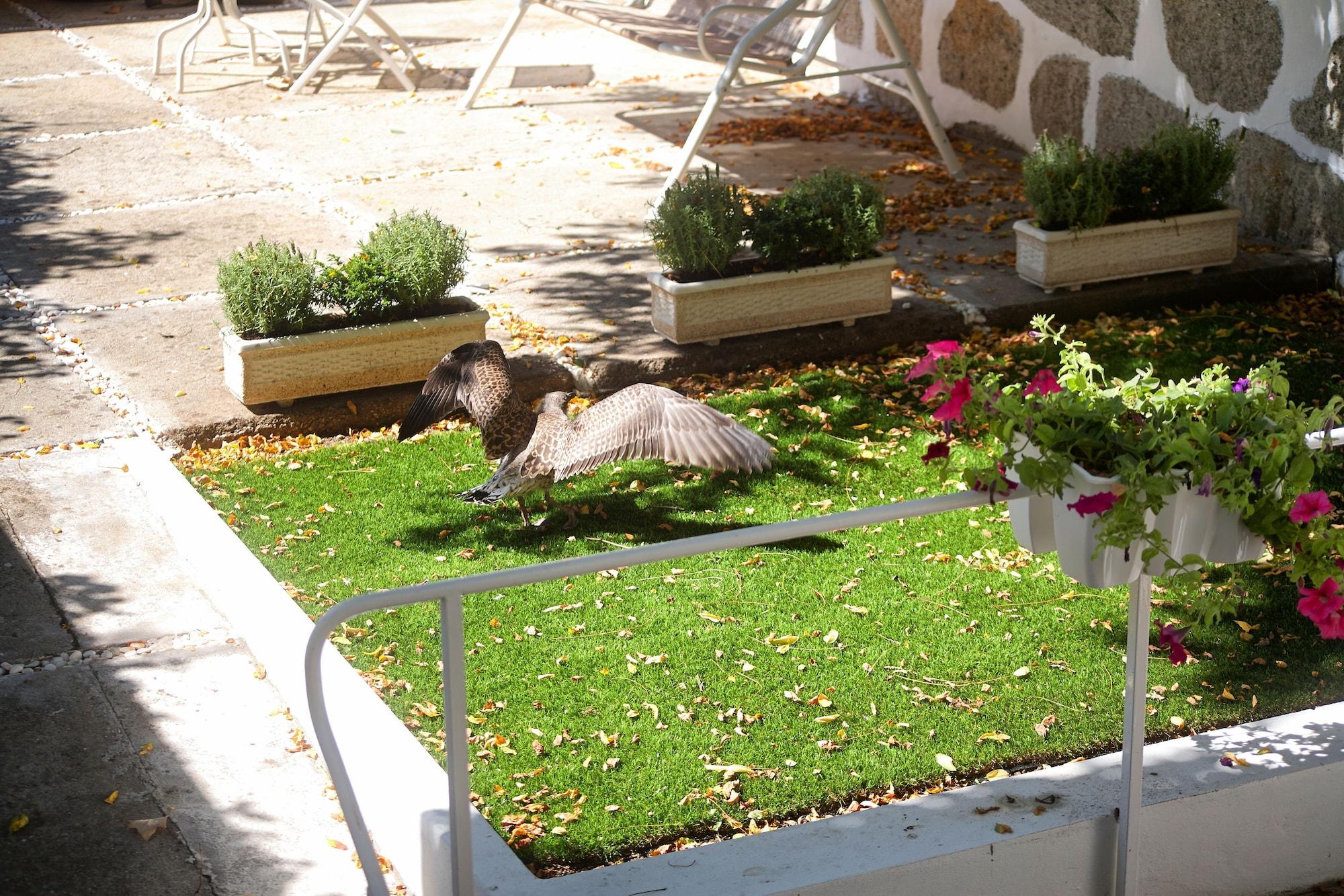 Guest house Guestready - Charming House Marques
