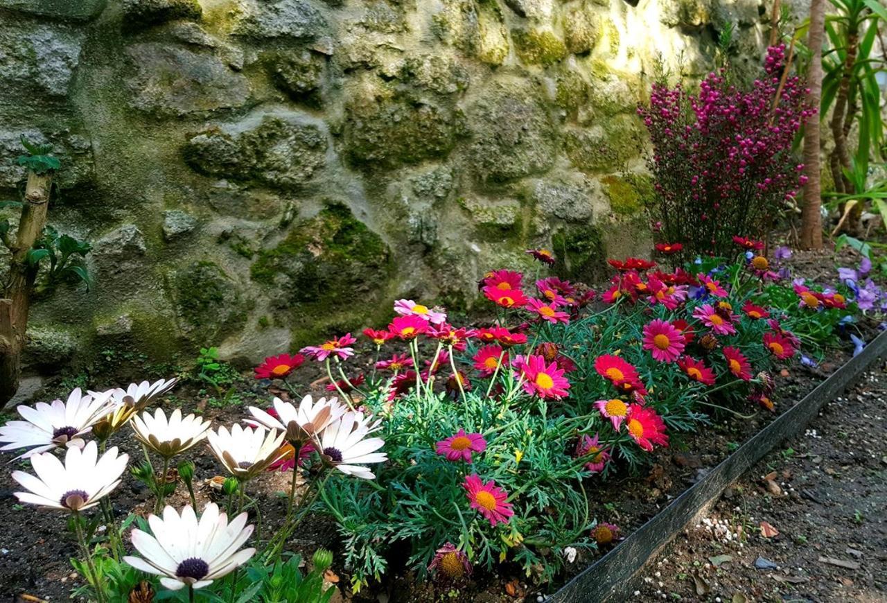 Boavista Charming With Garden By Great&cosy * Porto