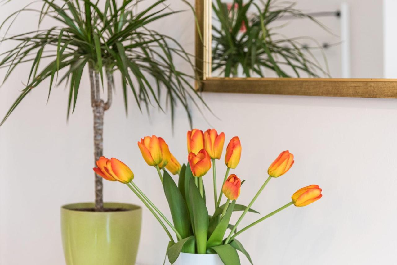 Guestready - The New Made In Appartement *