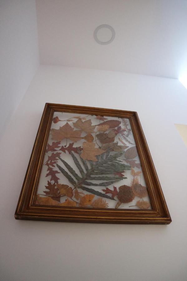 Appartement Casa Antas Porto