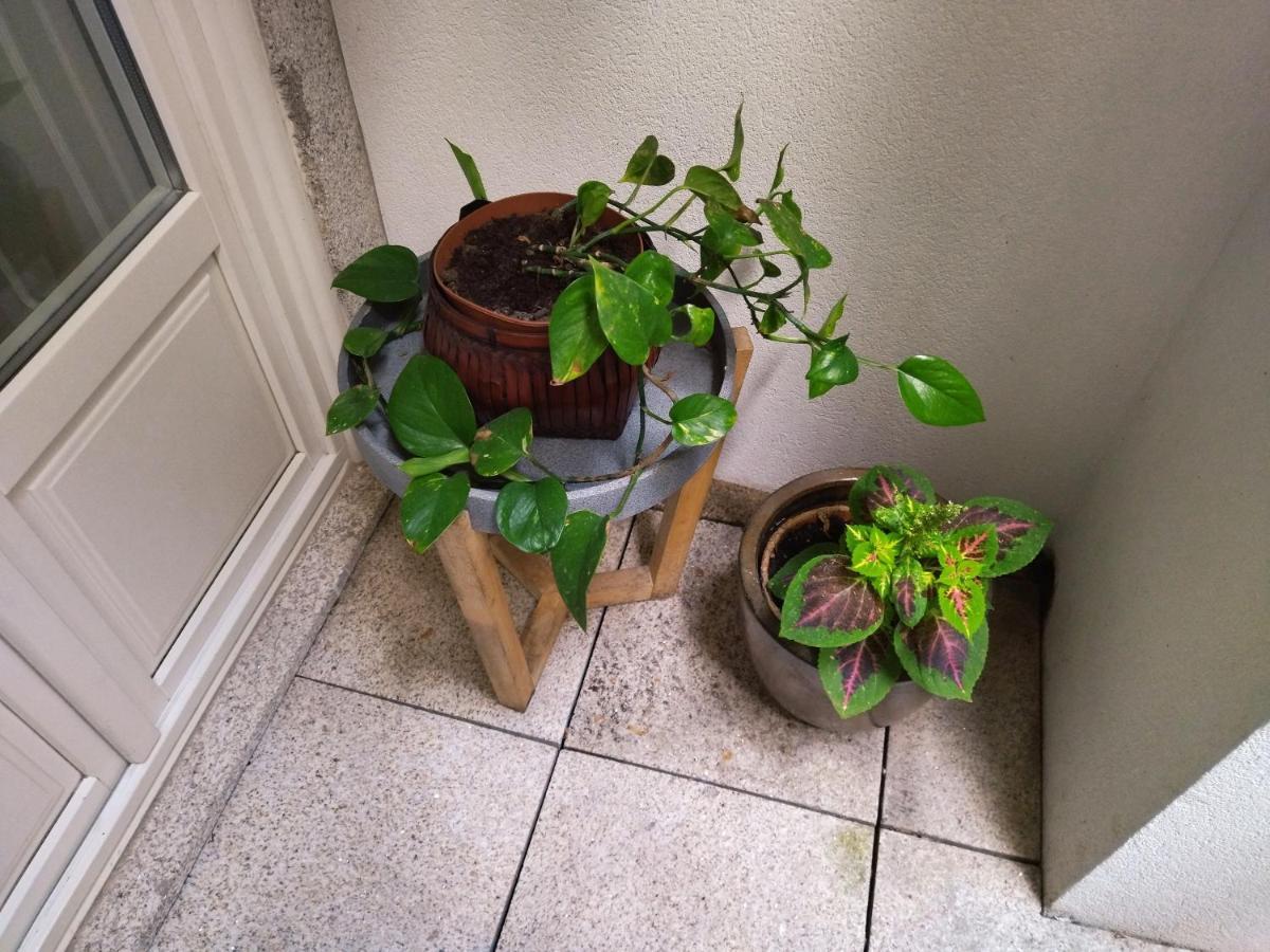 Santa Catarina Patio - With Washer Machine Apartment