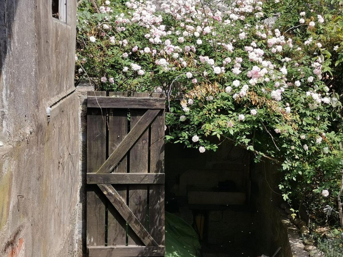 Casa de Férias Verites Dame *
