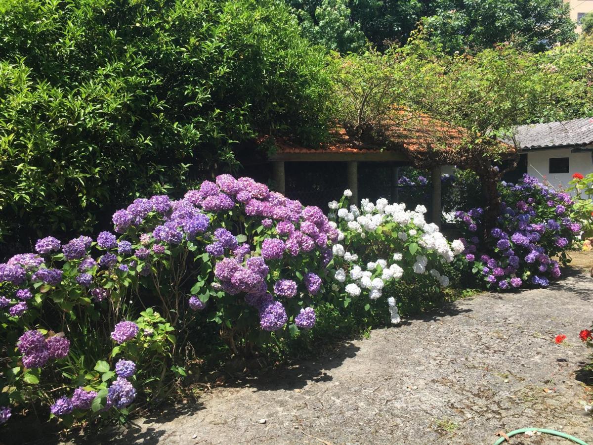 Guest house The Oaks House Foz Porto