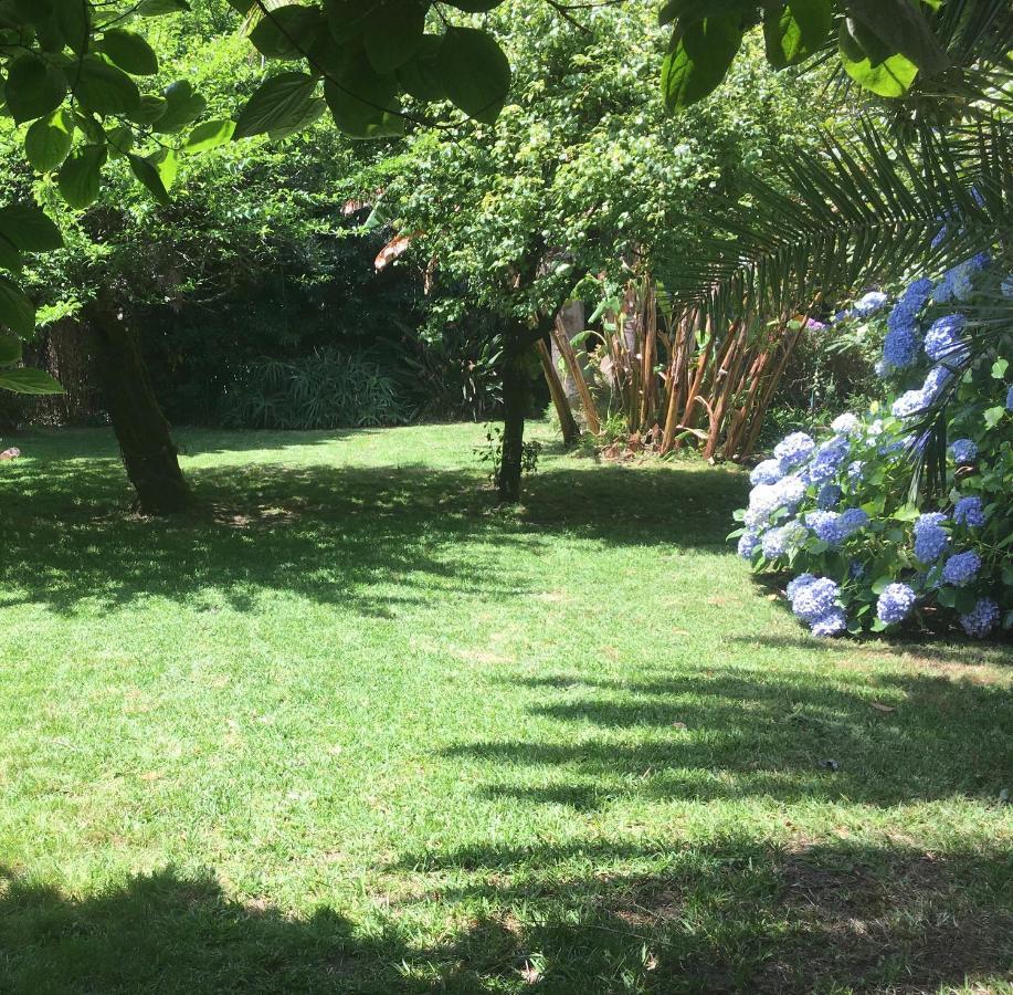 The Oaks House Foz Guest house Porto
