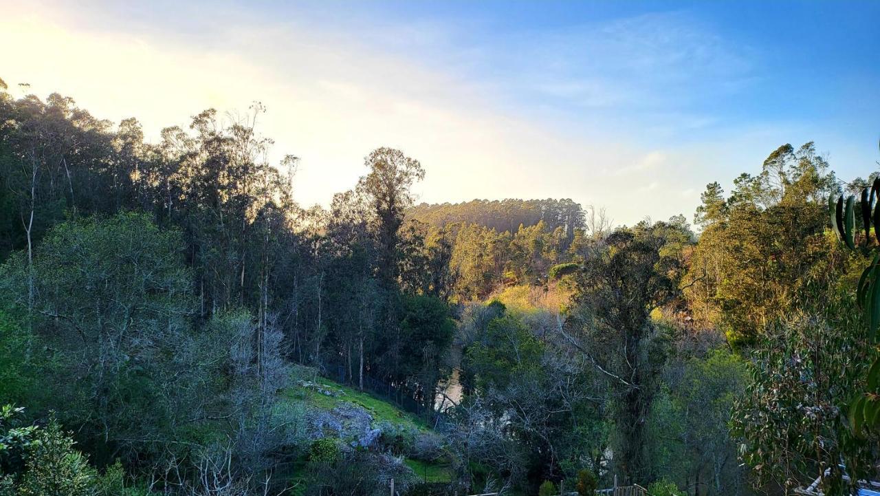 Lodge Woodhouse Near River - Near Ocean - Near *