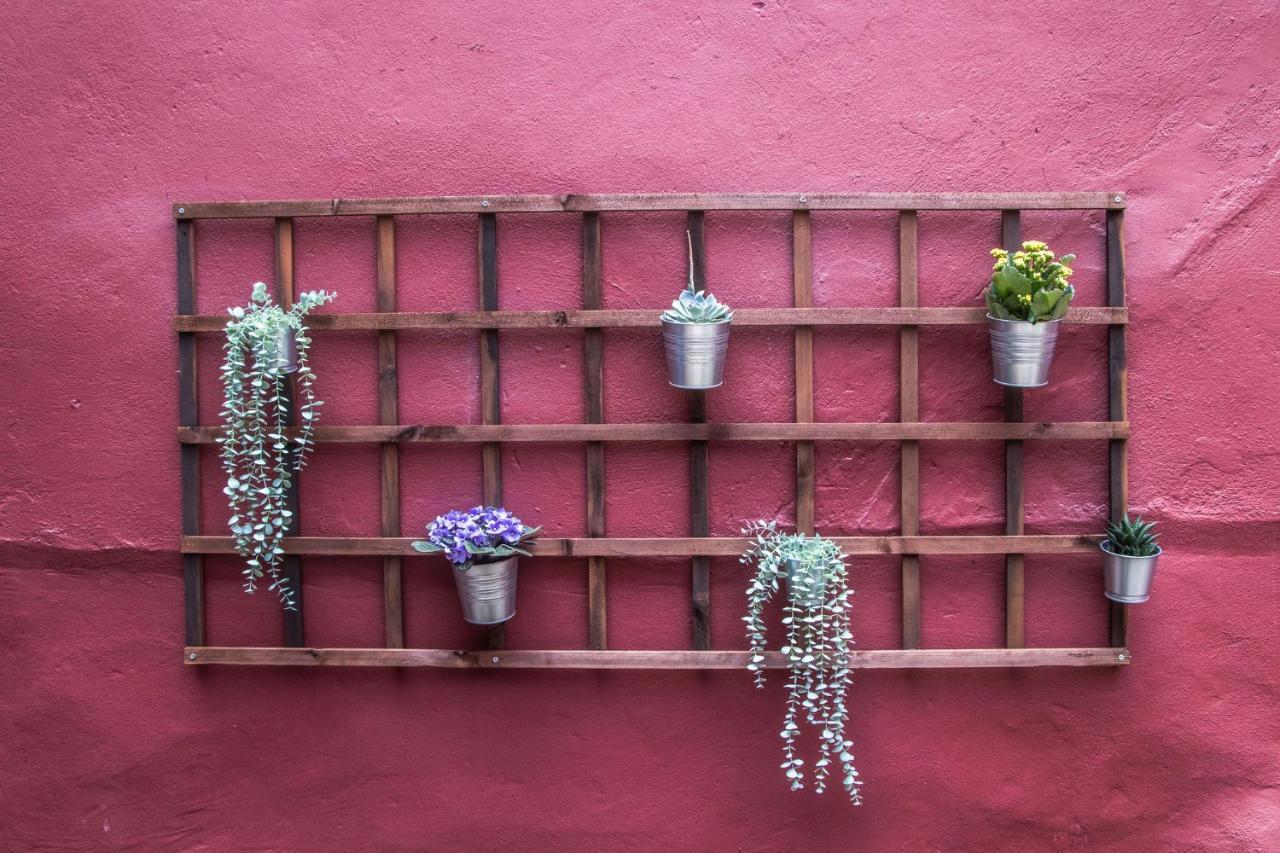 Sao Lazaro's Garden - With Terrace Appartement