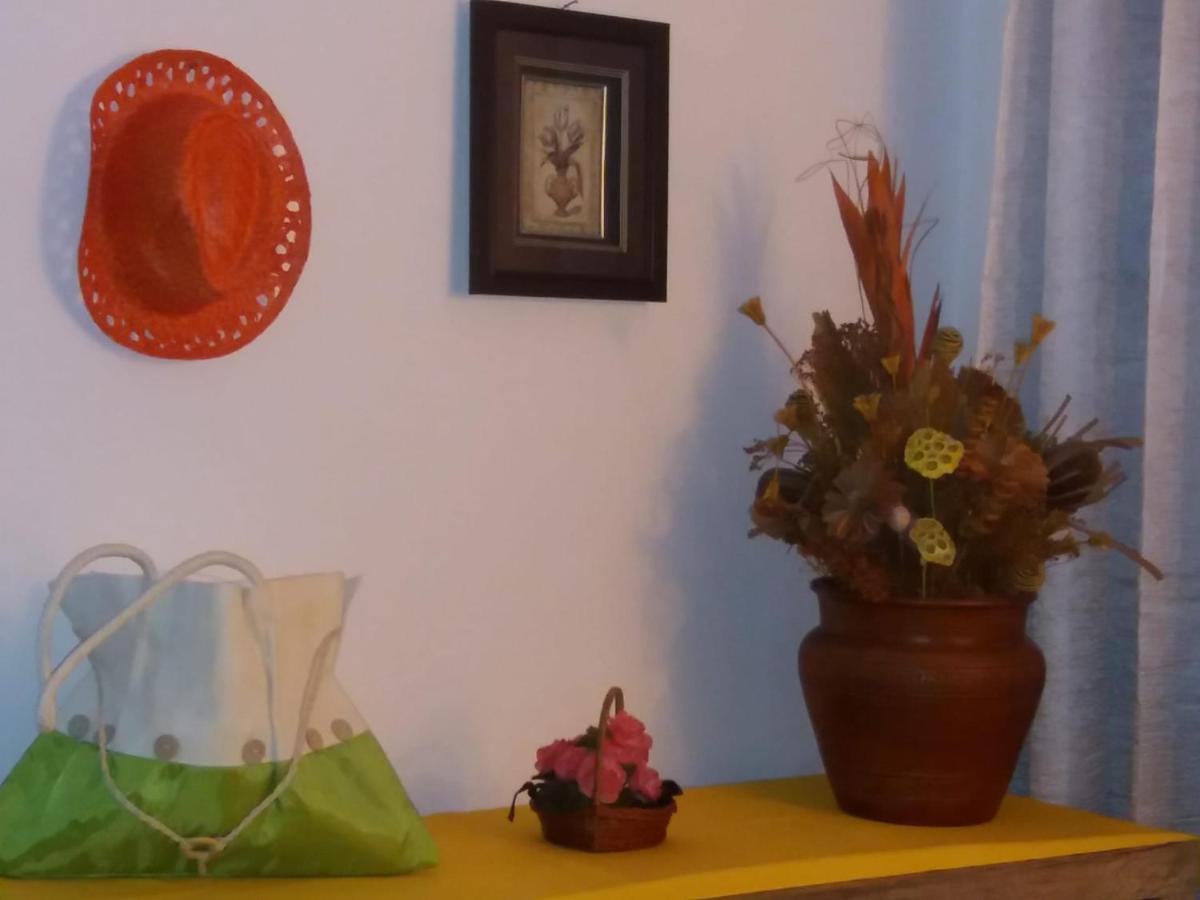 Casa Dragao Bed & Breakfast