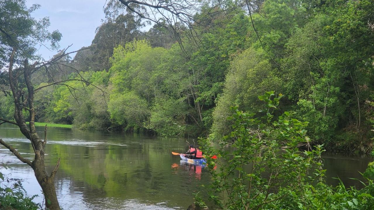Lodge Glasshouse - Near River - Near - Near Ocean *