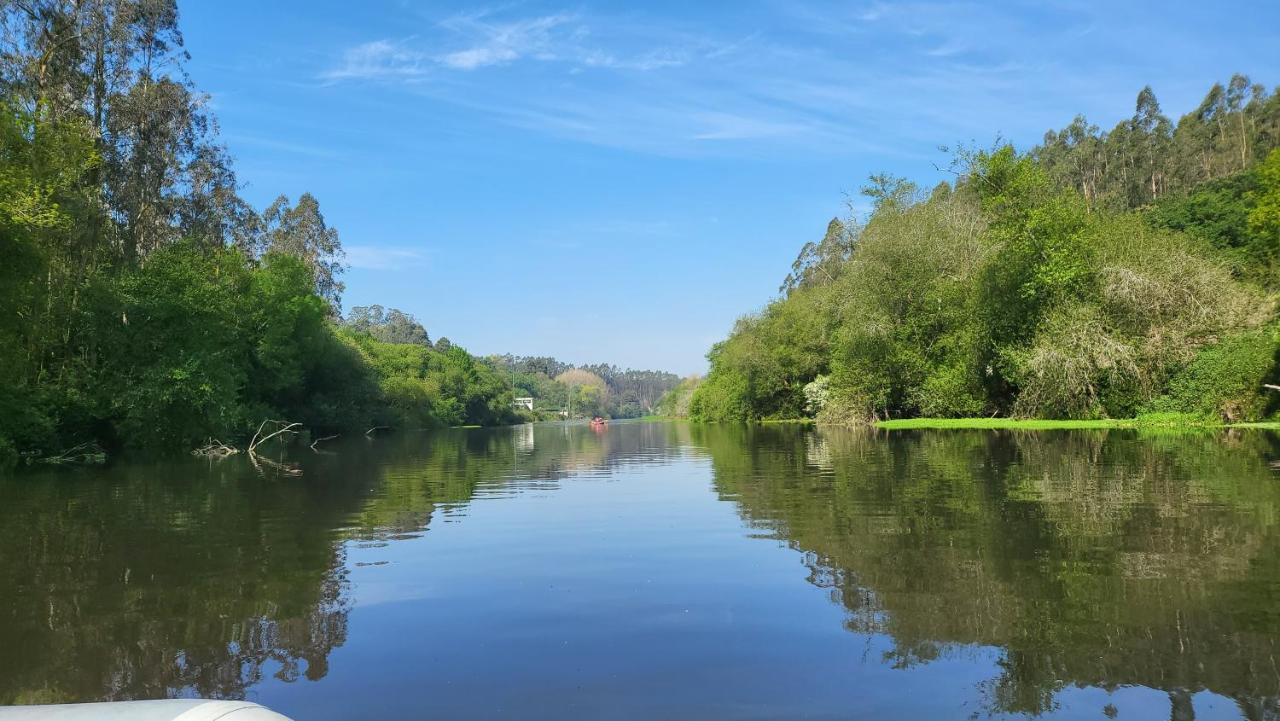 Lodge Glasshouse - Near River - Near - Near Ocean