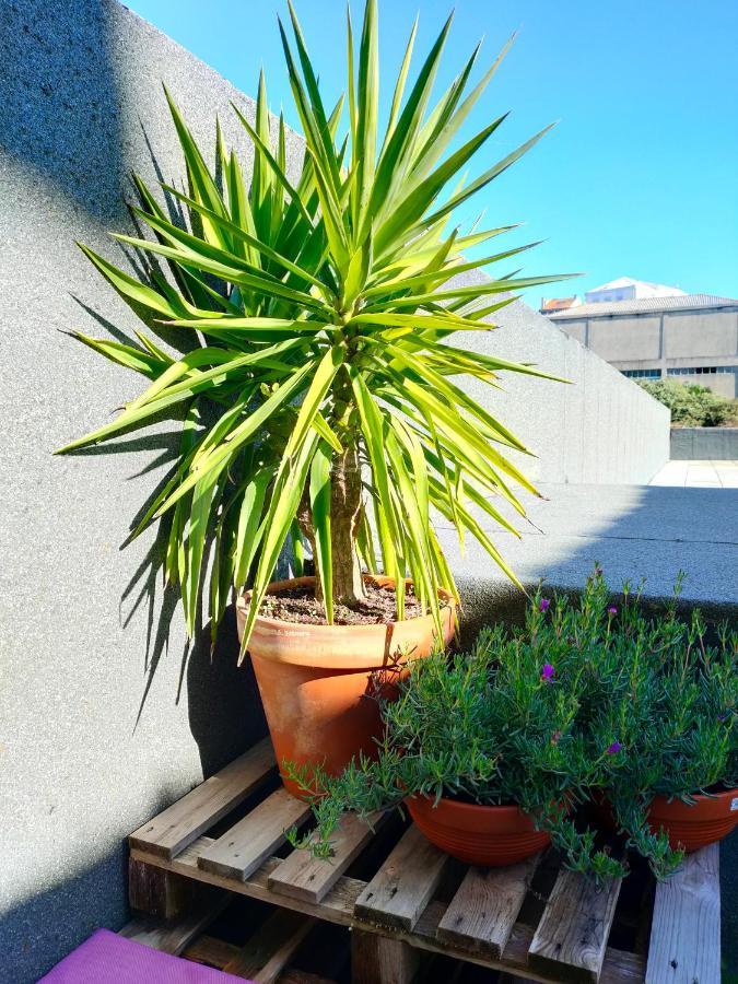 Santa Catarina - With Terrace Apartamento