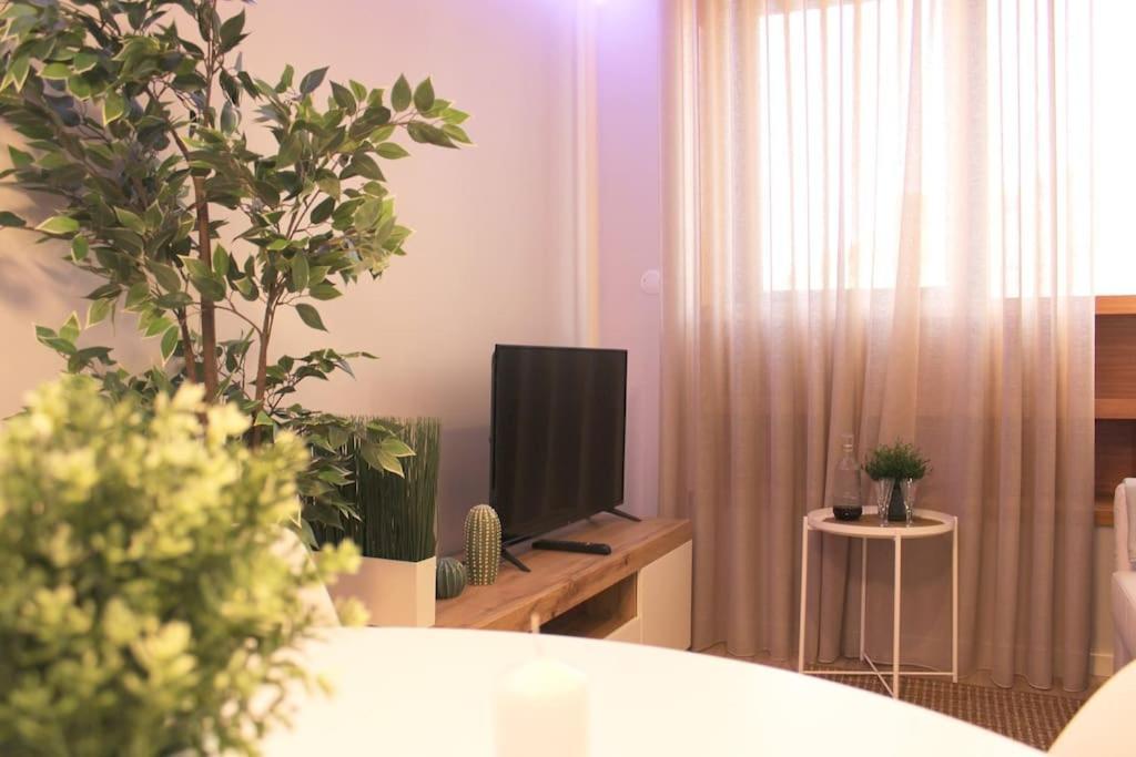 Historical Bolhao Market Flat - With Ac! Apartment Porto