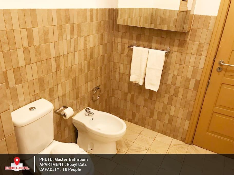 Apartment Royal Cats Porto