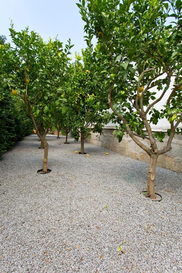 Boutique Rentals- Hidden Garden Porto's Downtown *