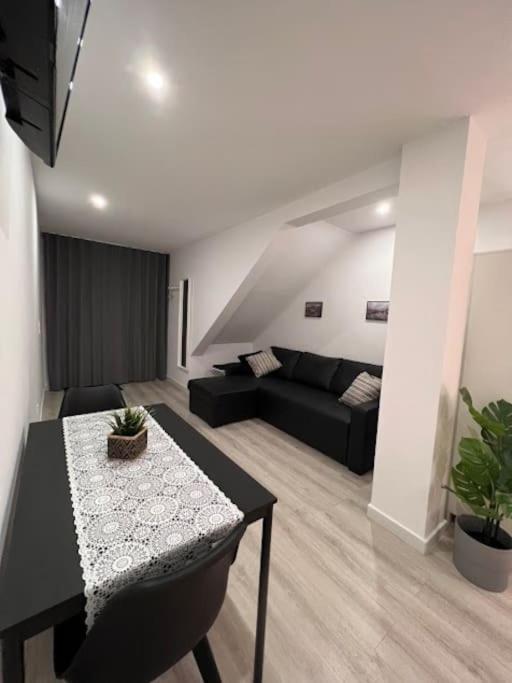Opo - Fantastic With Garden Apartment Porto