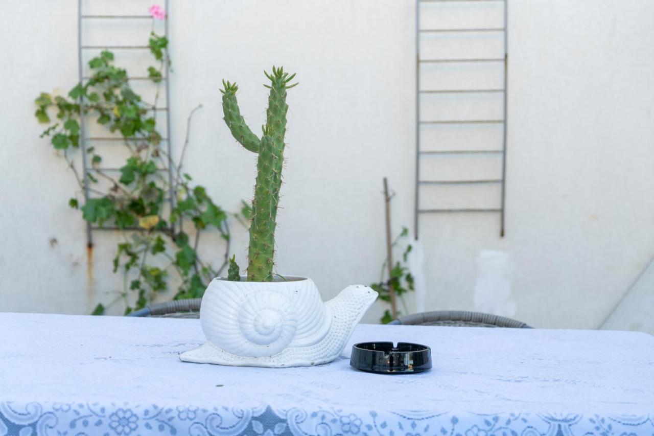 Growth House Bed & Breakfast Porto